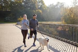 joggen mit Hund Vorschaubild