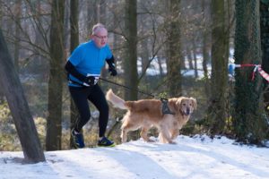 Mann mit Hund beim Canicross
