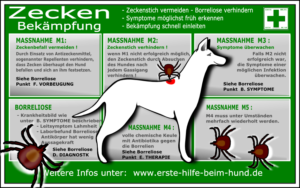 Massnahmeplan für Hunde gegen Zecken