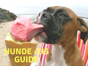 Hunde-Eis-Guide