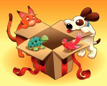 Hundespielzeuge Vorschaubild