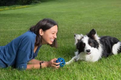 Border Collie und Frau Vorschaubild