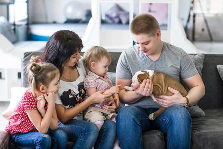 ein Welpe umringt von seiner neuen Familie Vorschaubild