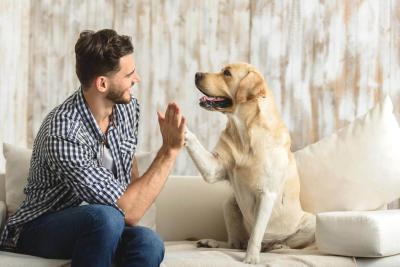 ein Mann mit seinem Hund Vorschaubild