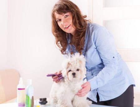 eine Frau pflegt ihren Hund