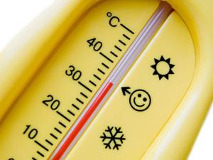 Thermometer für ein Hundebad