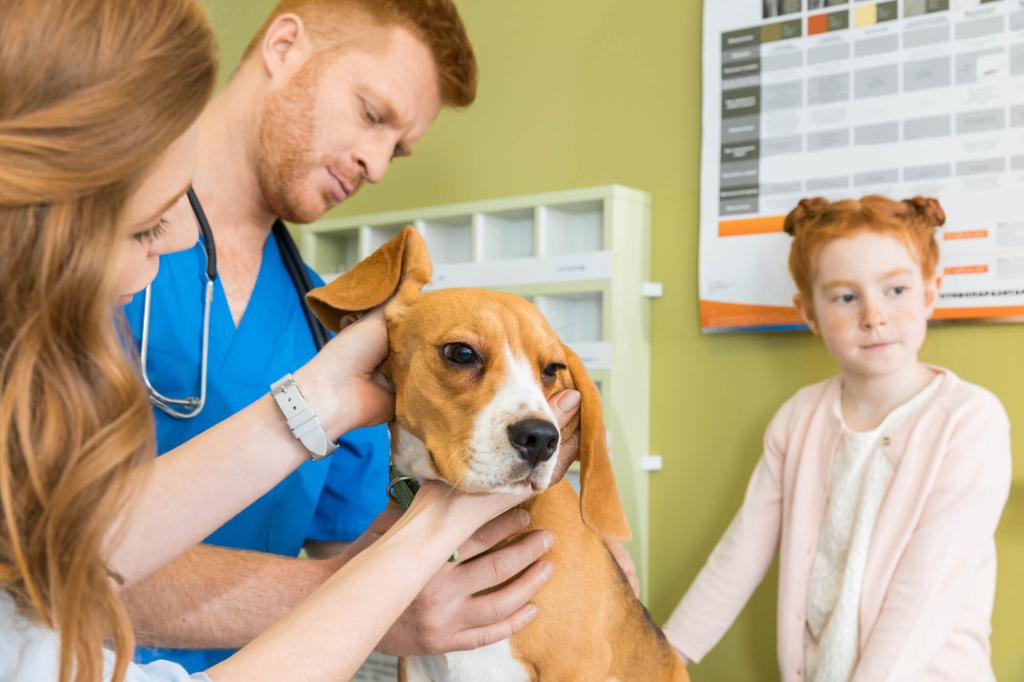 ein Hund mit Ohrenentzündung beim Tierarzt