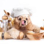 Ein Hund kocht sein Hundefutter selbst Vorschaubild