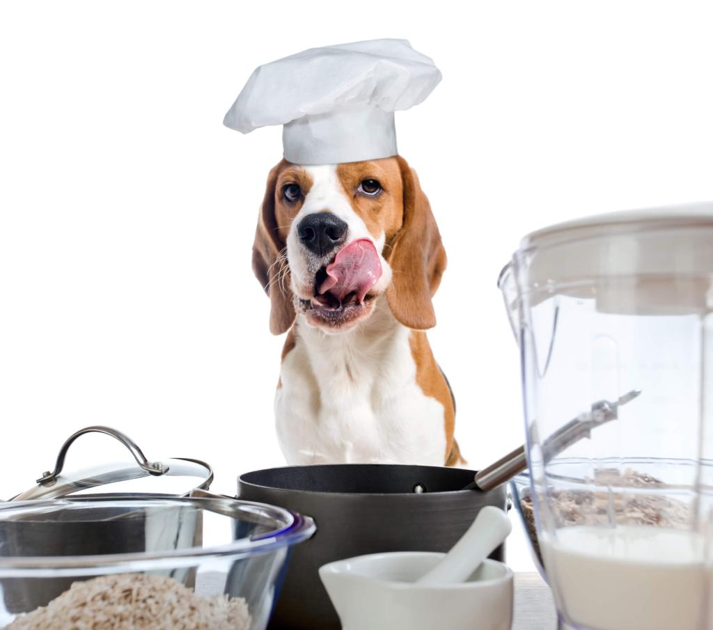 ein Hund als Koch