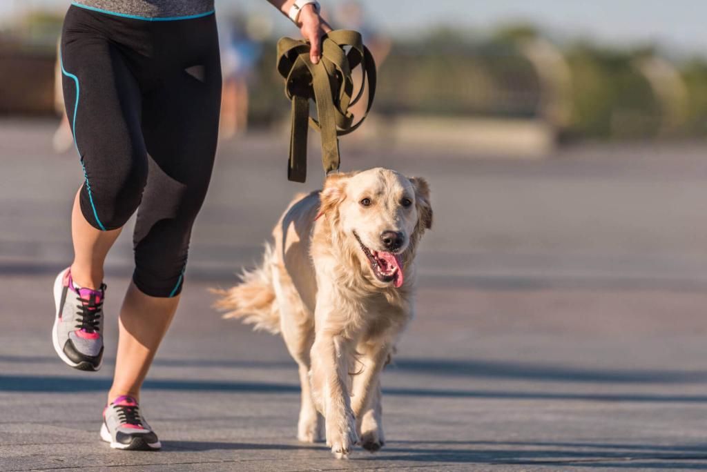 Frau Hund joggen