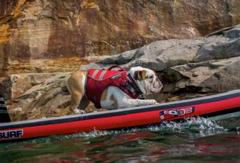 Ruffwear Schwimmweste Vorschaubild