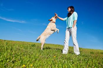 Hund mit ausgestrecktem Arm am hochspringen hindern