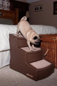 Rosewood Pet Gear Hundetreppe