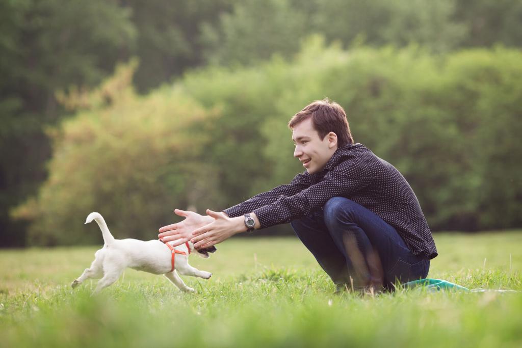 Mann spielt mit Jack Russell