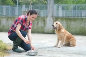 Hund mit Pflegerin im Tierheim