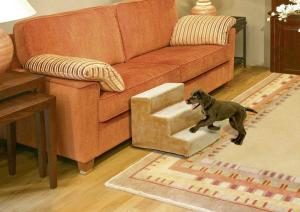 Hundetreppe mit Welpe