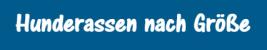 Grafik Hunderassen nach Groesse