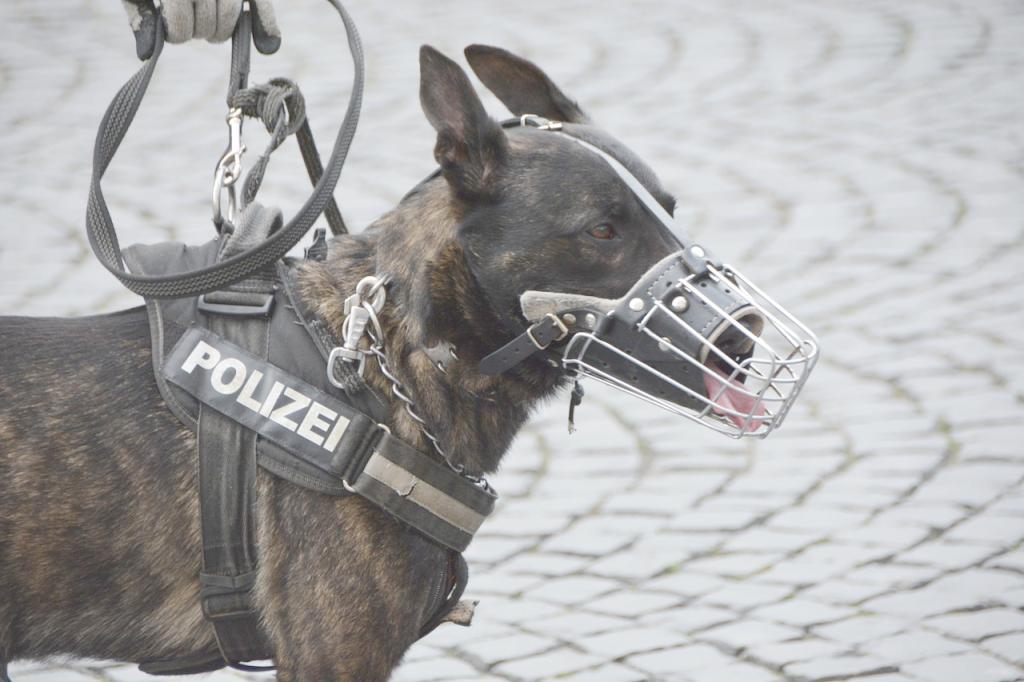 Polizeihund