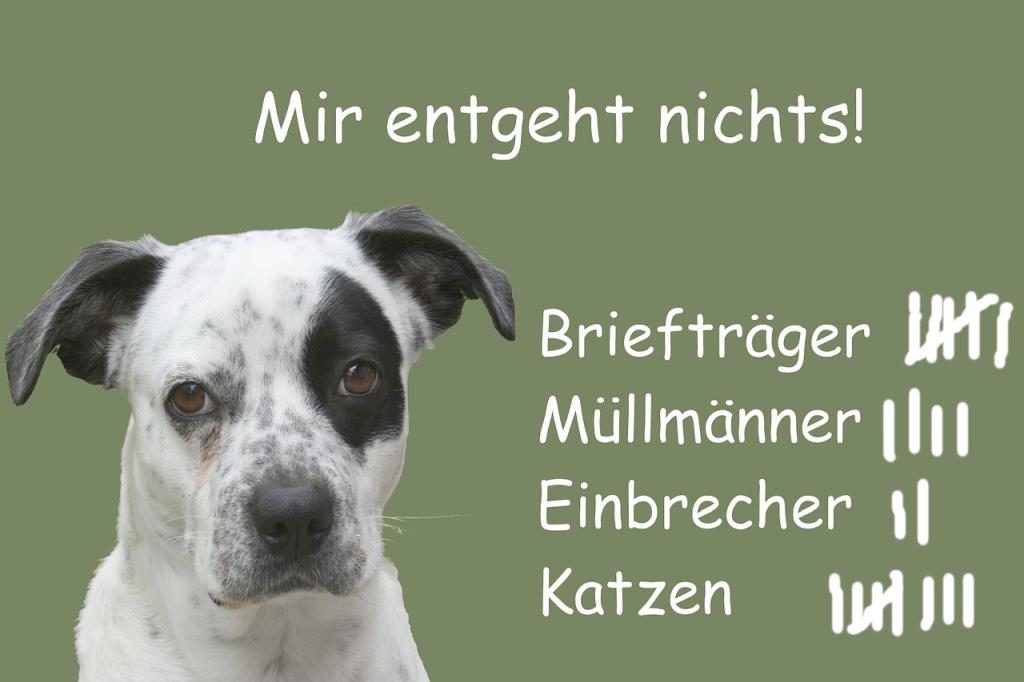 Schild Wachhund