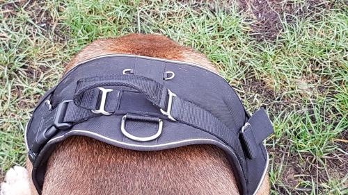 Hunter Neopren Expert Befestigungsring