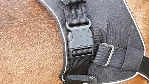 Hunter Neopren Expert Klickverschluss