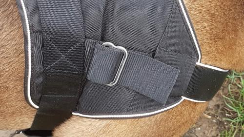 Hunter Neopren Expert individuell verstellbarer Brustgurt