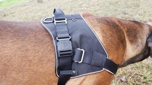 Hunter Neopren Expert reflektierende Einfassung