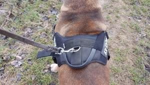 JULIUS-K9, 16STEALTH, IDC STEALTH Powergeschirr mit Leine