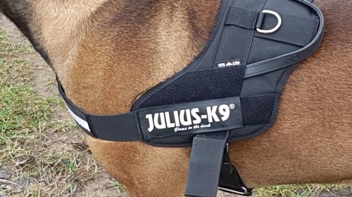 JULIUS-K9, 16STEALTH, IDC STEALTH Powergeschirr reflektierend Aufkleber