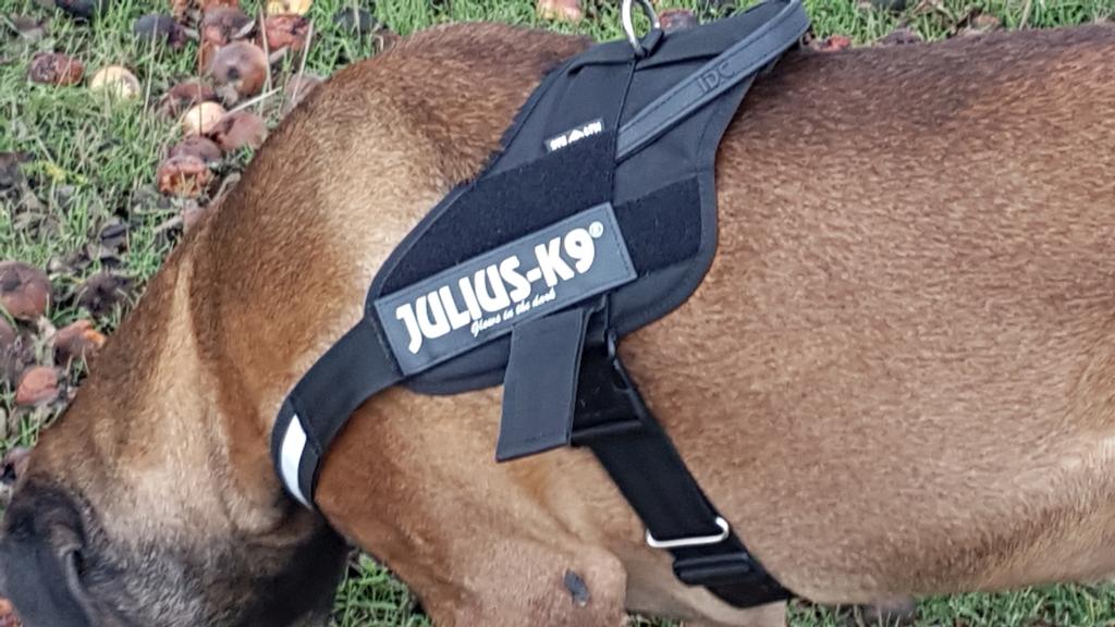 JULIUS-K9, 16STEALTH, IDC STEALTH Powergeschirr