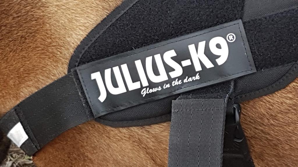 Julius K9 Hundegeschirr
