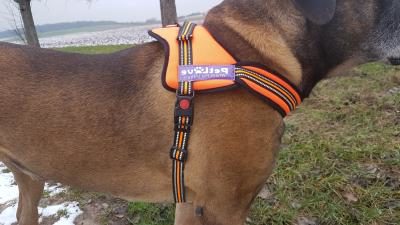 PetLove Hundegeschirr Brustgurt