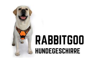 Rabbitgoo Hundegeschirre