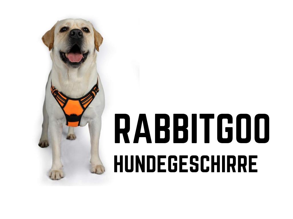 Rabbitgoo Hundegeschirre