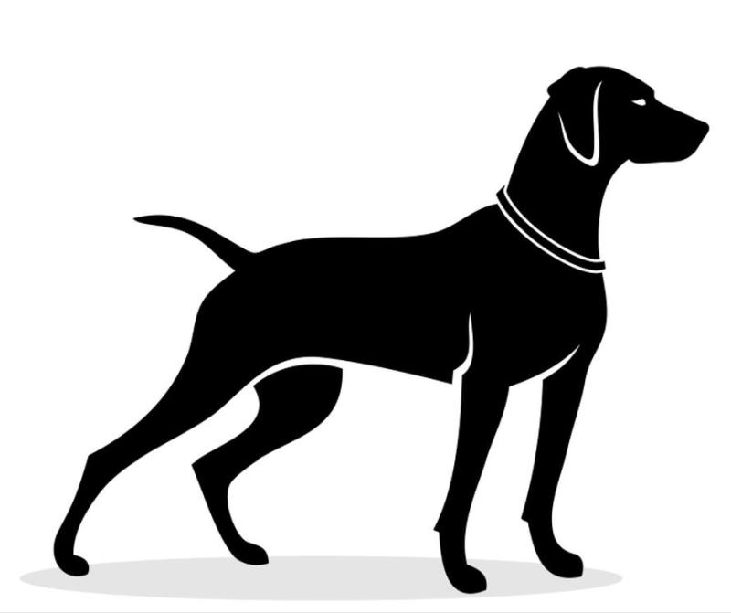 stehender Hund Vektor