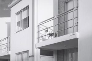Welpe auf einem Balkon