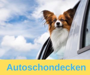Autoschondecken