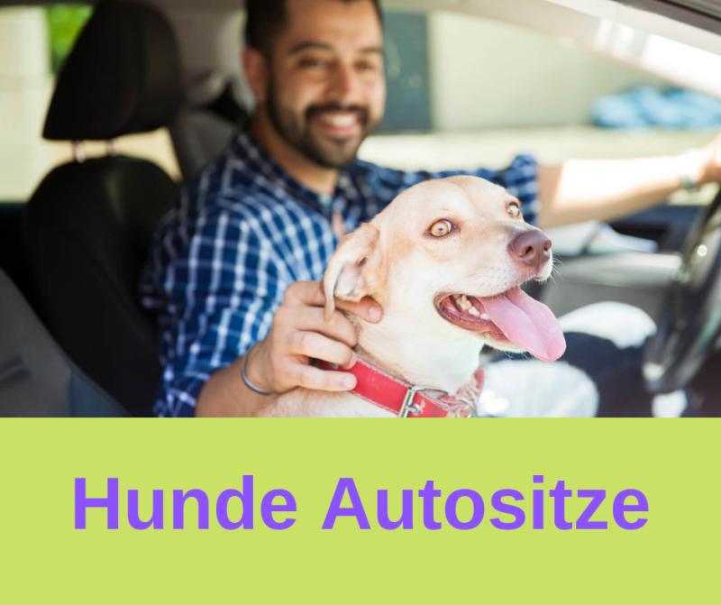 Hunde Autositze