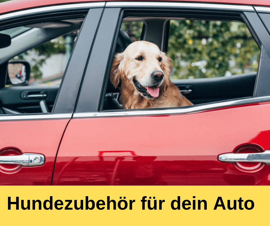 ᐅ Hundezubehor Fur Dein Auto Ratgeber Mit Videos Guter Hund De