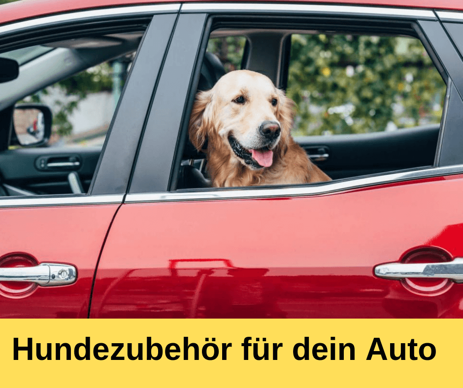 Hundezubehör für dein Auto