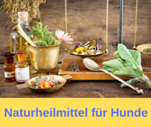 Naturheilmittel für Hunde