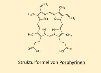 Porphyrinen