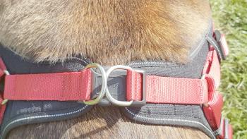 Hunter Neopren Vario Quick Hundegeschirr