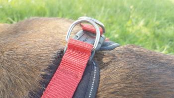 Hunter Neopren Vario Quick Hundegeschirr