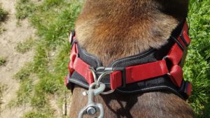 Hunter Neopren Vario Quick Hundegeschirr