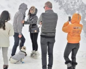 Immer die gleichen Befehle verwenden