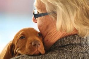 Seniorin mit Welpen