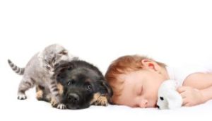 sozialisierter Welpe mit Baby