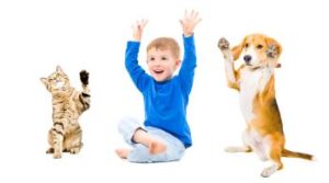 Welpe Katze und Kind