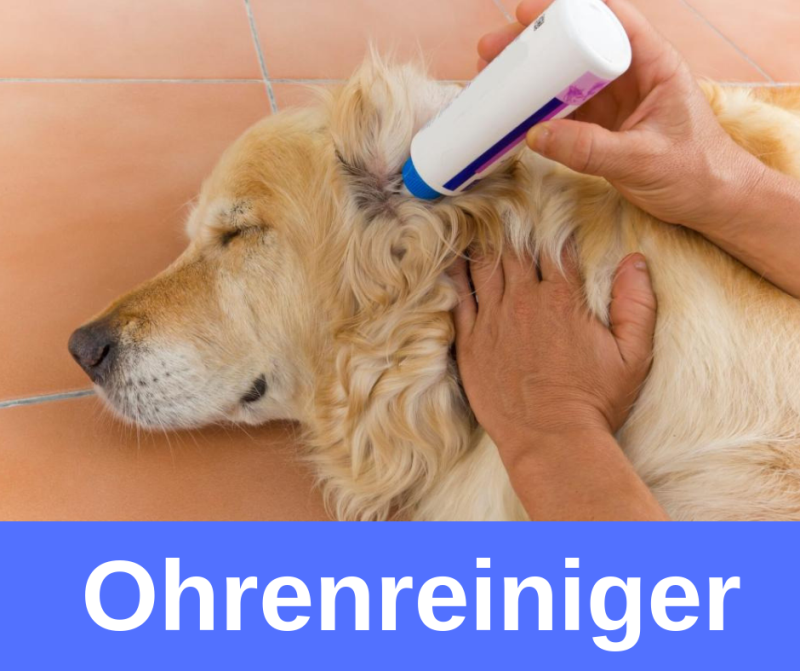 ᐅ Die besten und beliebtesten Ohrreiniger für Hunde 2019 › guterHund.de